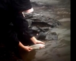VIDEO Pasión por la pesca de truchas en río, con Yaisa Corrales